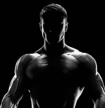 Workout plan: Full Body Workout
