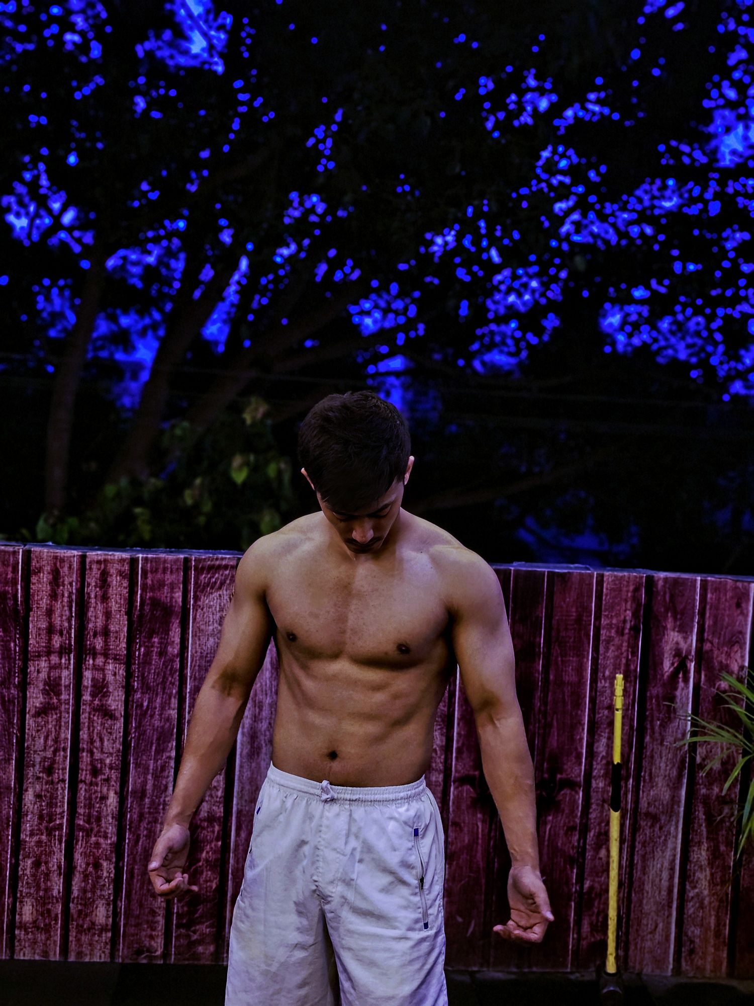 workout-collections-page-1-lyfta