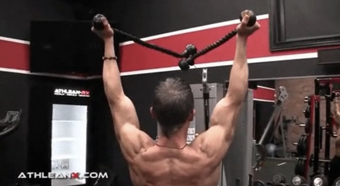 Cable Supinated Face Pull Raise (with Ropes)